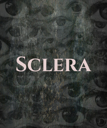 Sclera