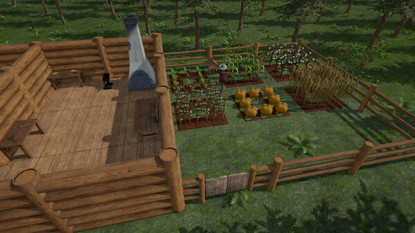 Скриншот из Backwoods Town