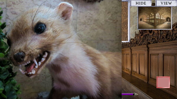 Скриншот из Wicked Times