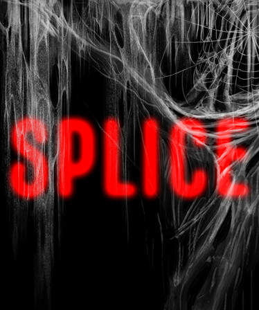 Splice