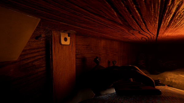 Buriedfor windows and Linux 1