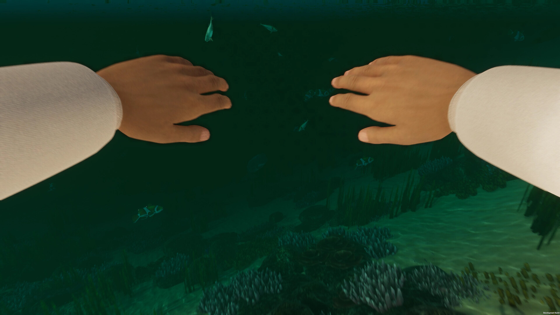 Island Notes Demo #3