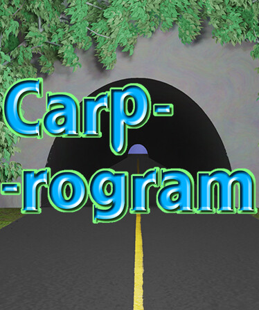 Carprogram