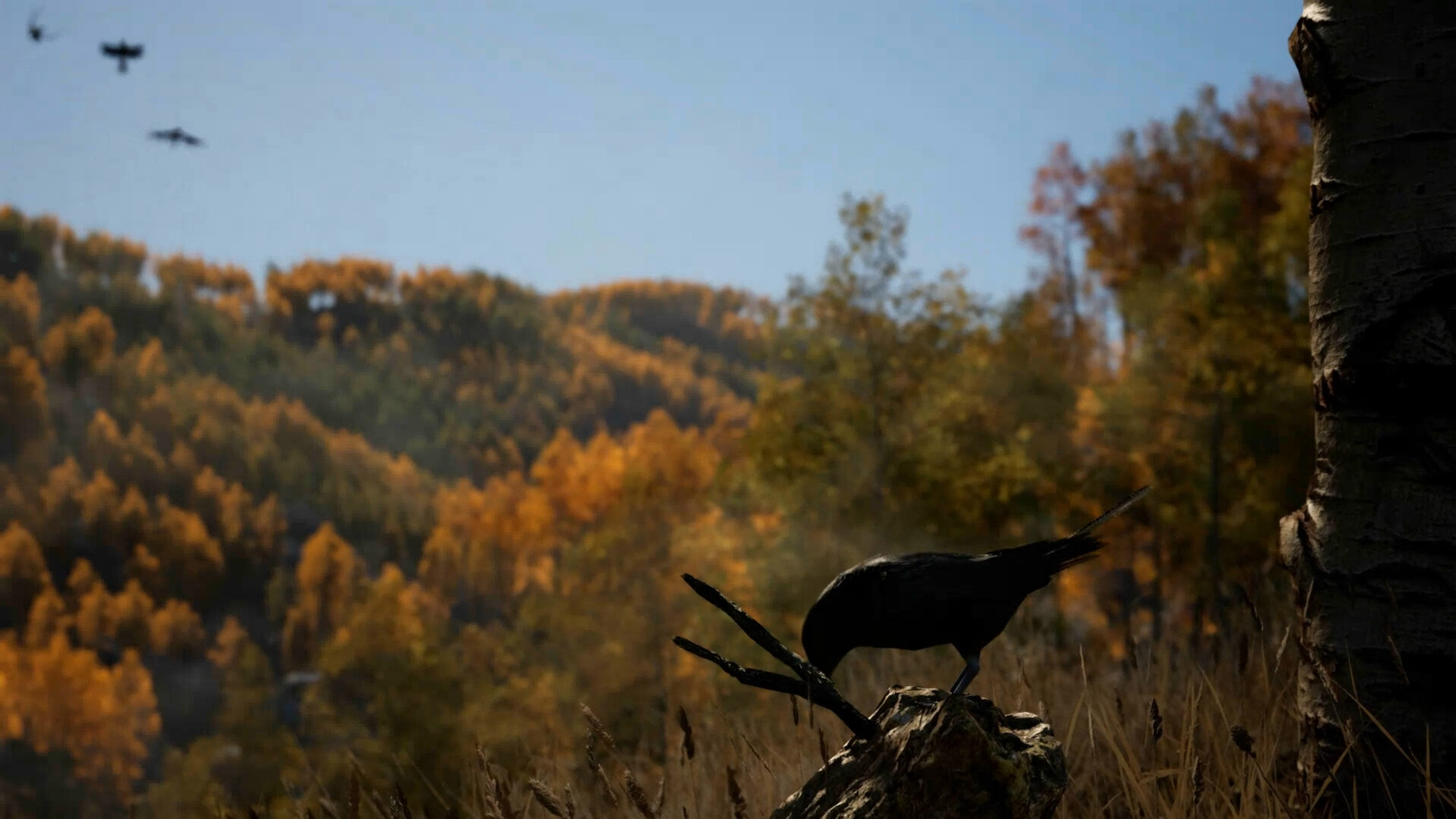 FLEX Disc Golf on Steam