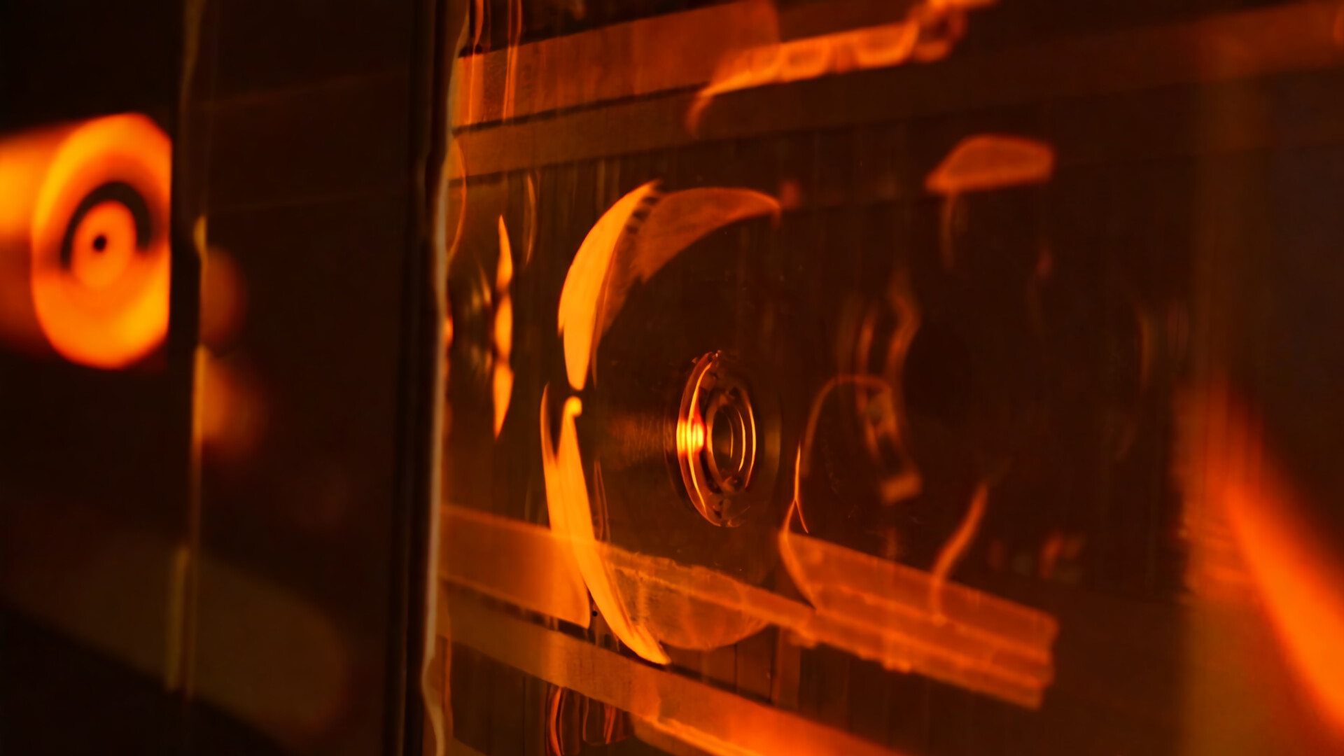 Survive: Forgotten and Abandoned #8