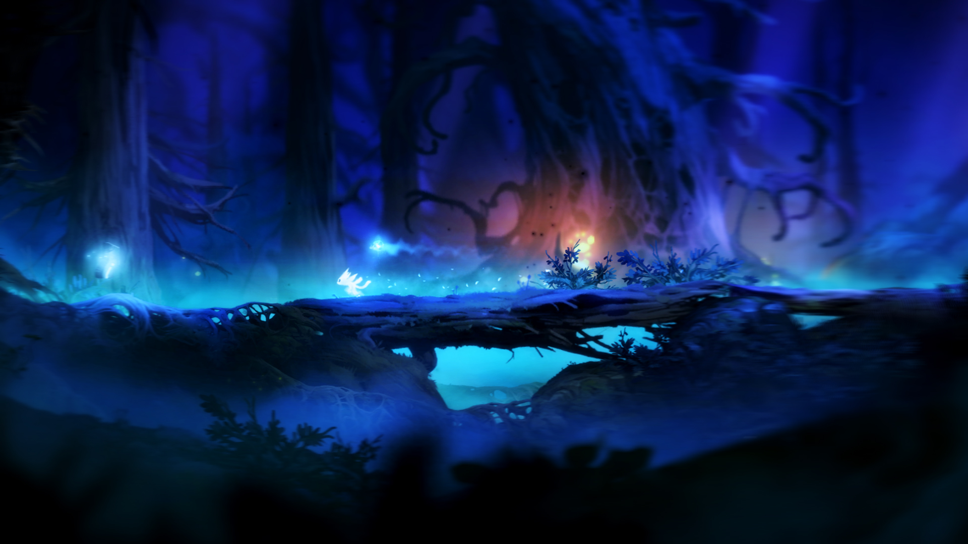  Ori and the Blind Forest: Definitive Edition - Xbox