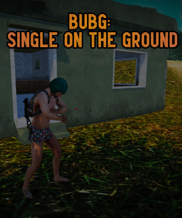 BUBG Single on the Ground