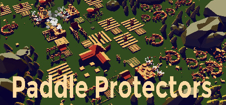Paddle Protectors Cover Image