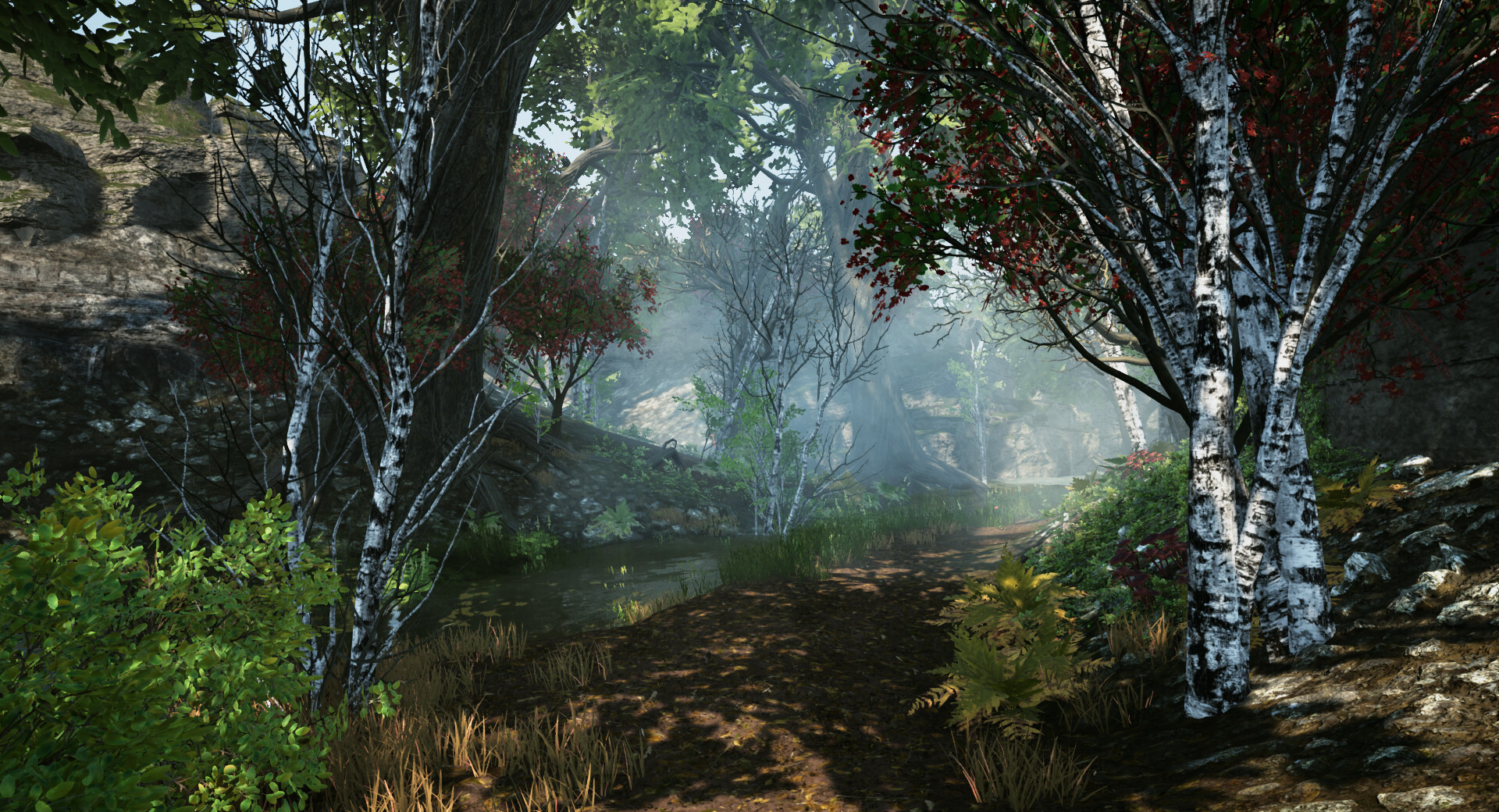 Order of the Elements #5