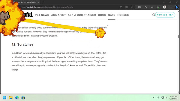 Скриншот из Desktop Pet Project