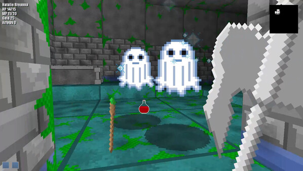 Скриншот из Dungeons of Mysteria