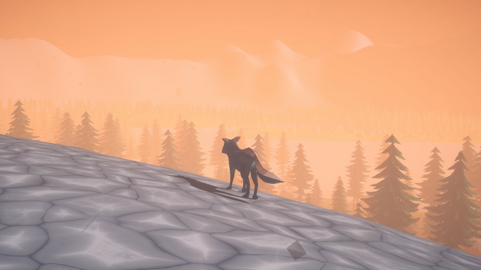 Whispering Paws screenshot screenshot 1