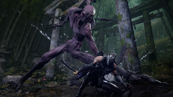 Ninja Gaiden 4 screenshot
