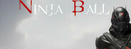 Ninja Ball