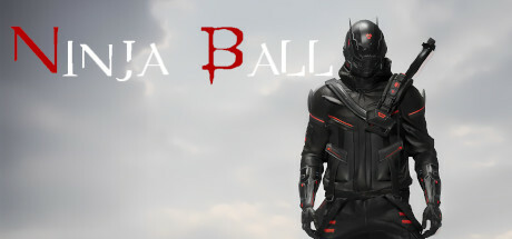 Ninja Ball Cover Image