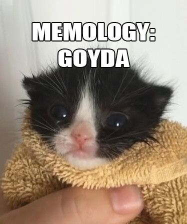 MEMOLOGY: GOYDA