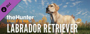 theHunter: Call of the Wild™ - Labrador Retriever