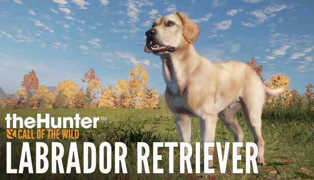 theHunter Call of the Wild Labrador Retriever pe Steam