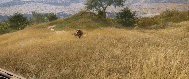 EN_EW_COTW_LabradorRetriver_Description_image_616x257_2_A_partner_you_can_count_on.gif?t=1701183857