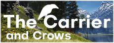 The Carrier and Crows 게임 이미지