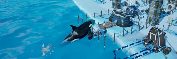 KillerWhale01.gif?t=1703863653