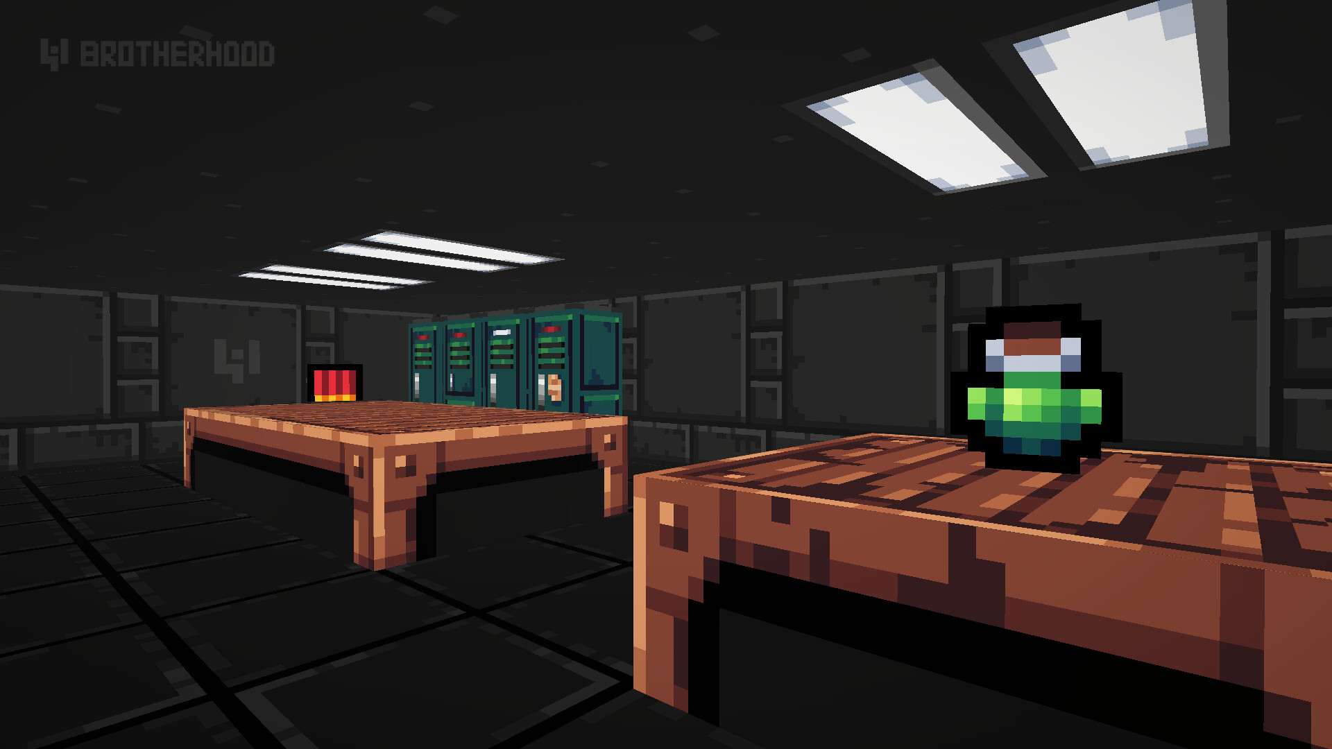 playstation 3 brotherhood