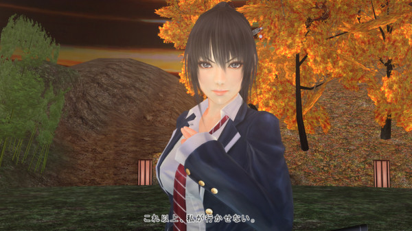 Mitsurugi Kamui Hikae screenshot