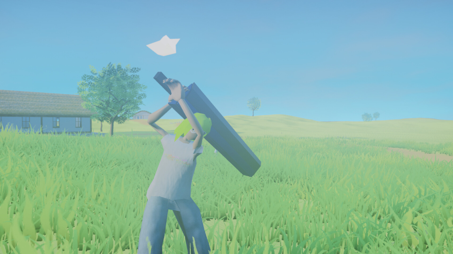 Wonder Wonder Punch #21