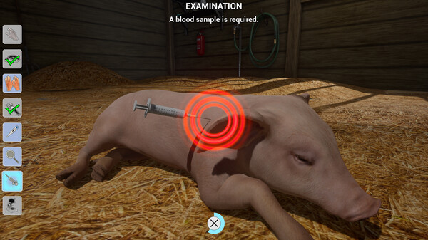 Скриншот из My Life: Farm Vet