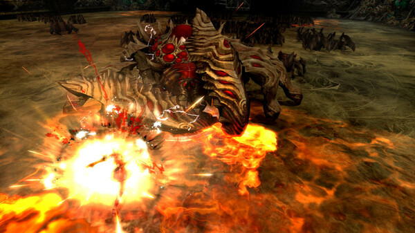 EOS RAGNAROKfor windows and Linux 1