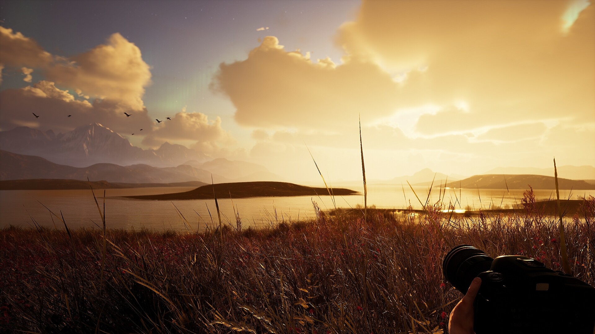 Photography Simulator Wildlife Prologue #4