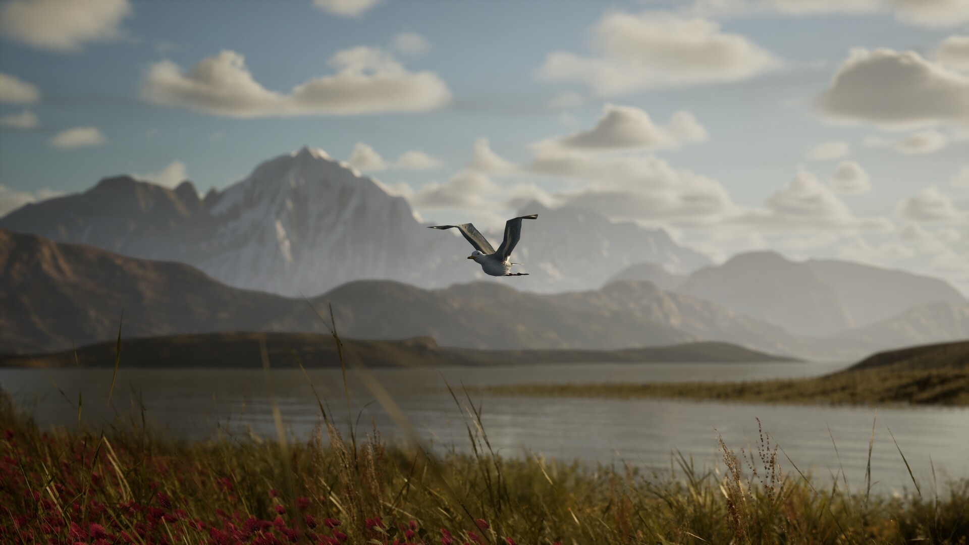 Photography Simulator Wildlife Prologue #5