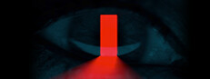 Project D████