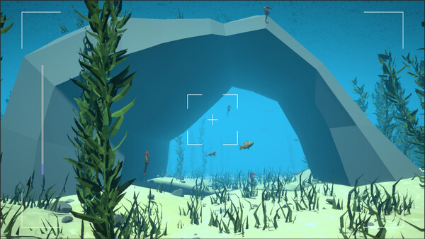 Pelagos: A Marine Adventure game for windows Pc 1