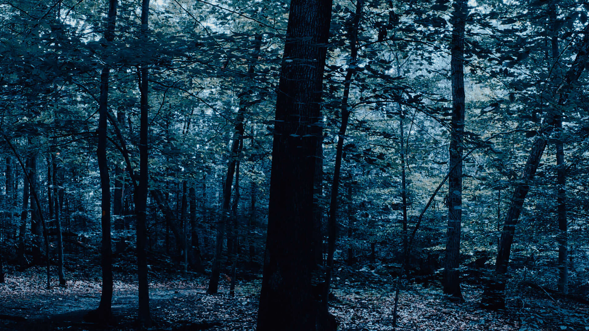 The Holyburn Witches #2