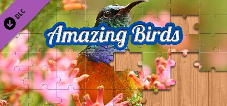 House of Jigsaw: Amazing Birds