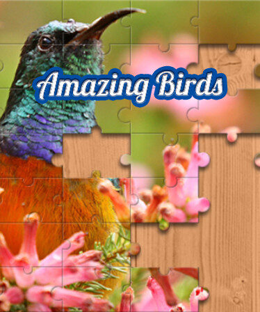 House of Jigsaw: Amazing Birds