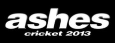 Ashes Cricket 2013 게임 이미지