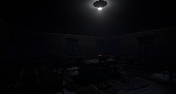 Wonderlandfor windows and Linux 1