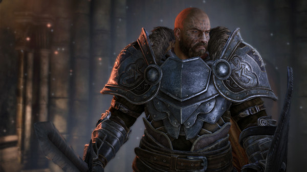Скриншот №16 к Lords Of The Fallen™
