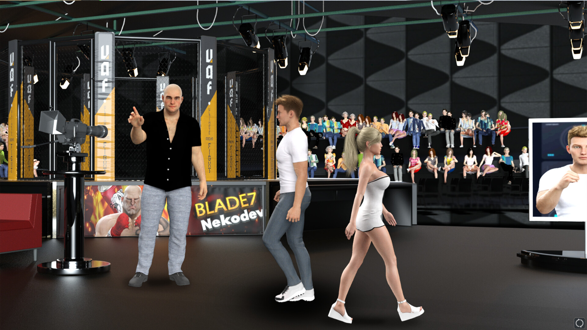 MMA Life simulator #10