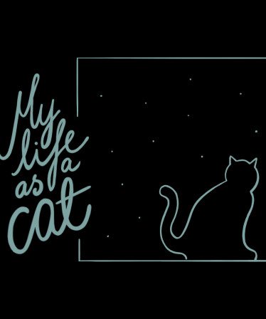 My life as a cat
