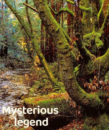 Mysterious legend