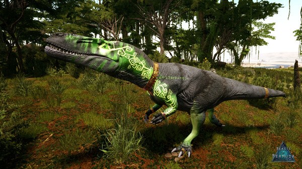 Beasts of Bermuda - Wiehenvenator Supporter Warpaint