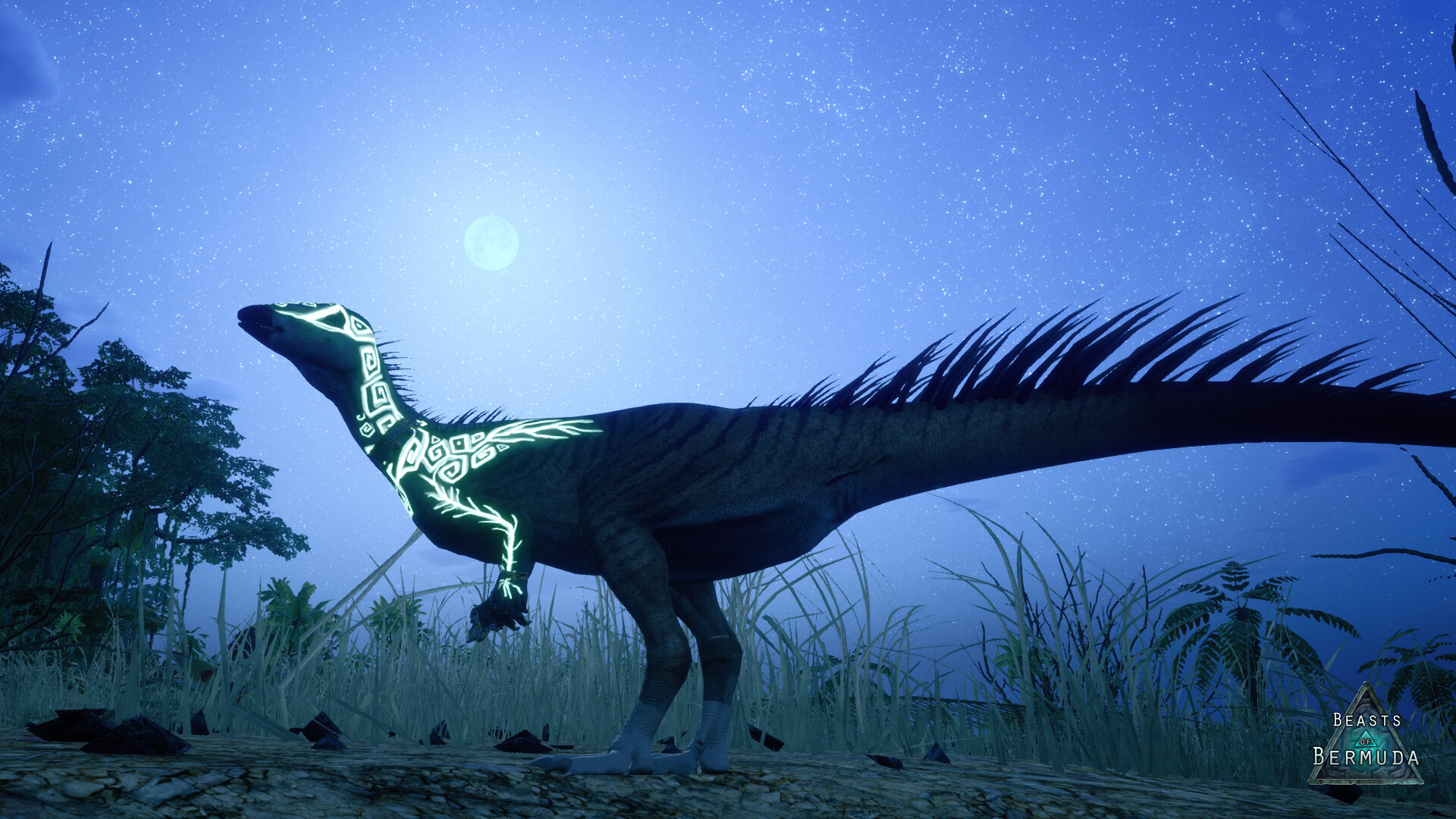 Beasts of Bermuda - Oryctodromeus Supporter Warpaint #4