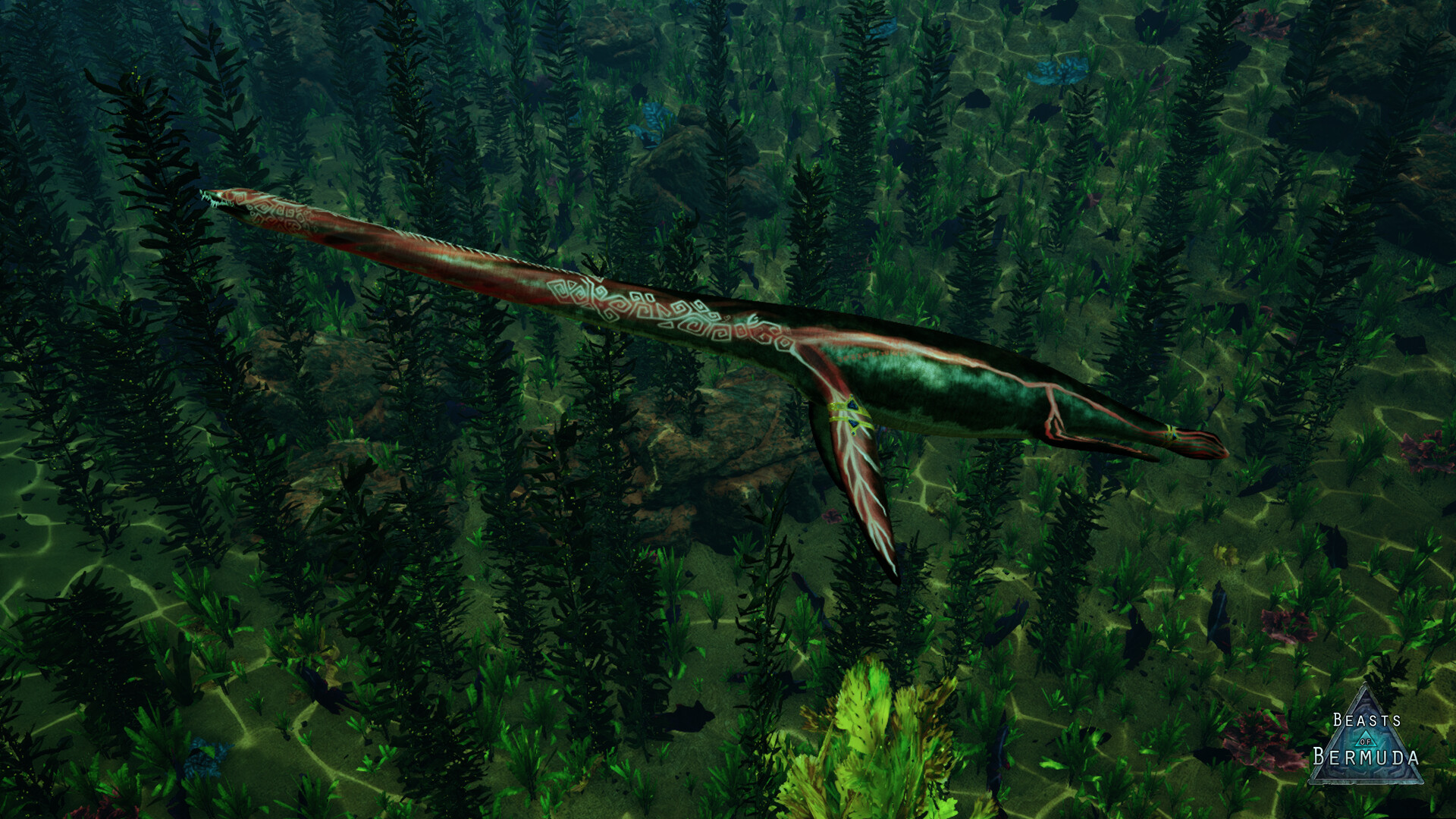 Beasts of Bermuda - Elasmosaurus Supporter Warpaint #3