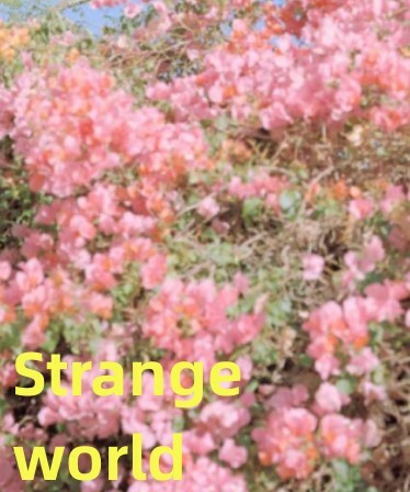 Strange world