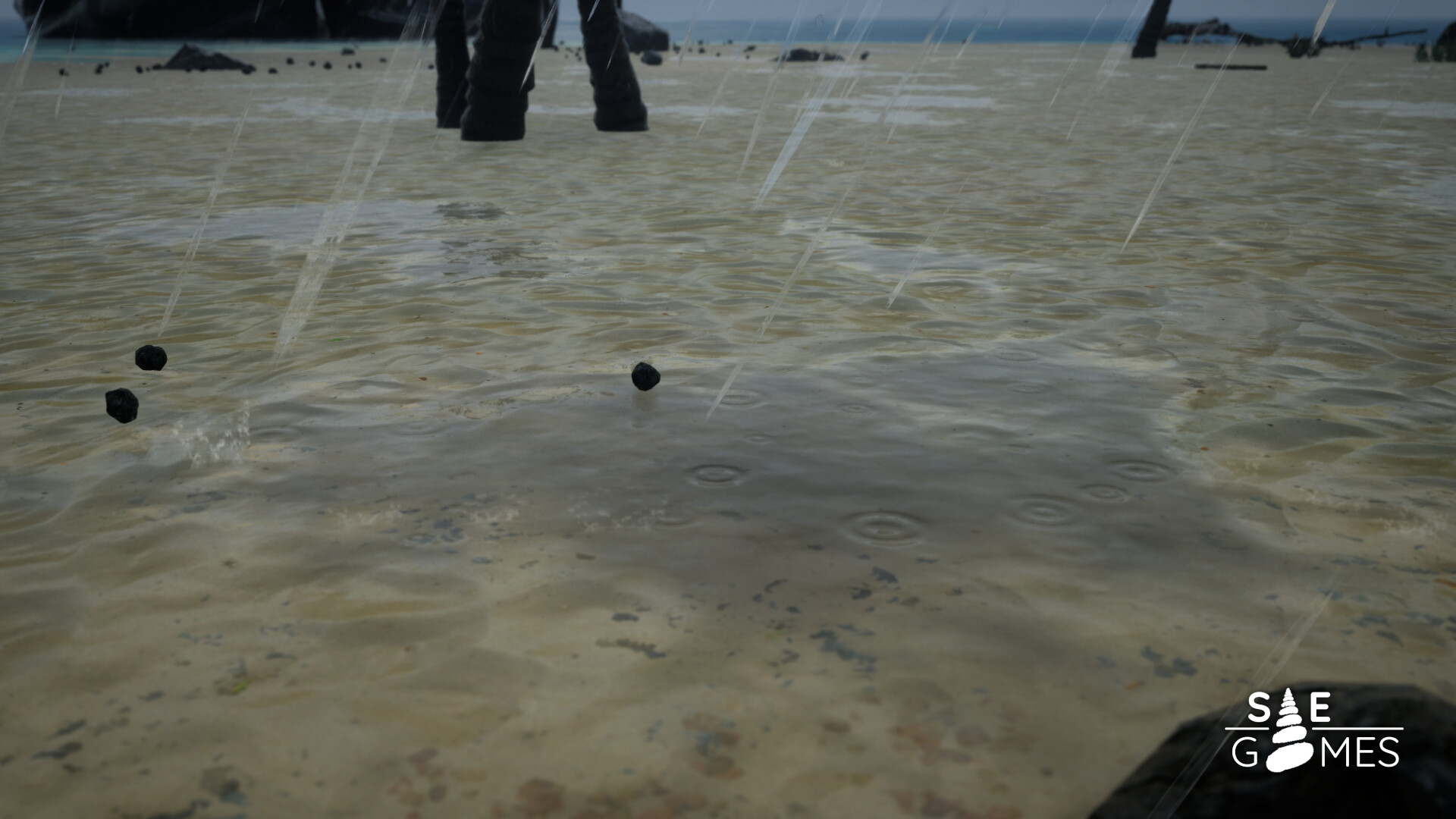 SAE on Steam