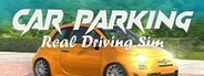 Car Parking Real Driving Sim