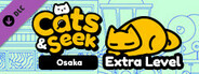 Cats and Seek: Osaka - Extra Content